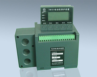 TM101Cϵ